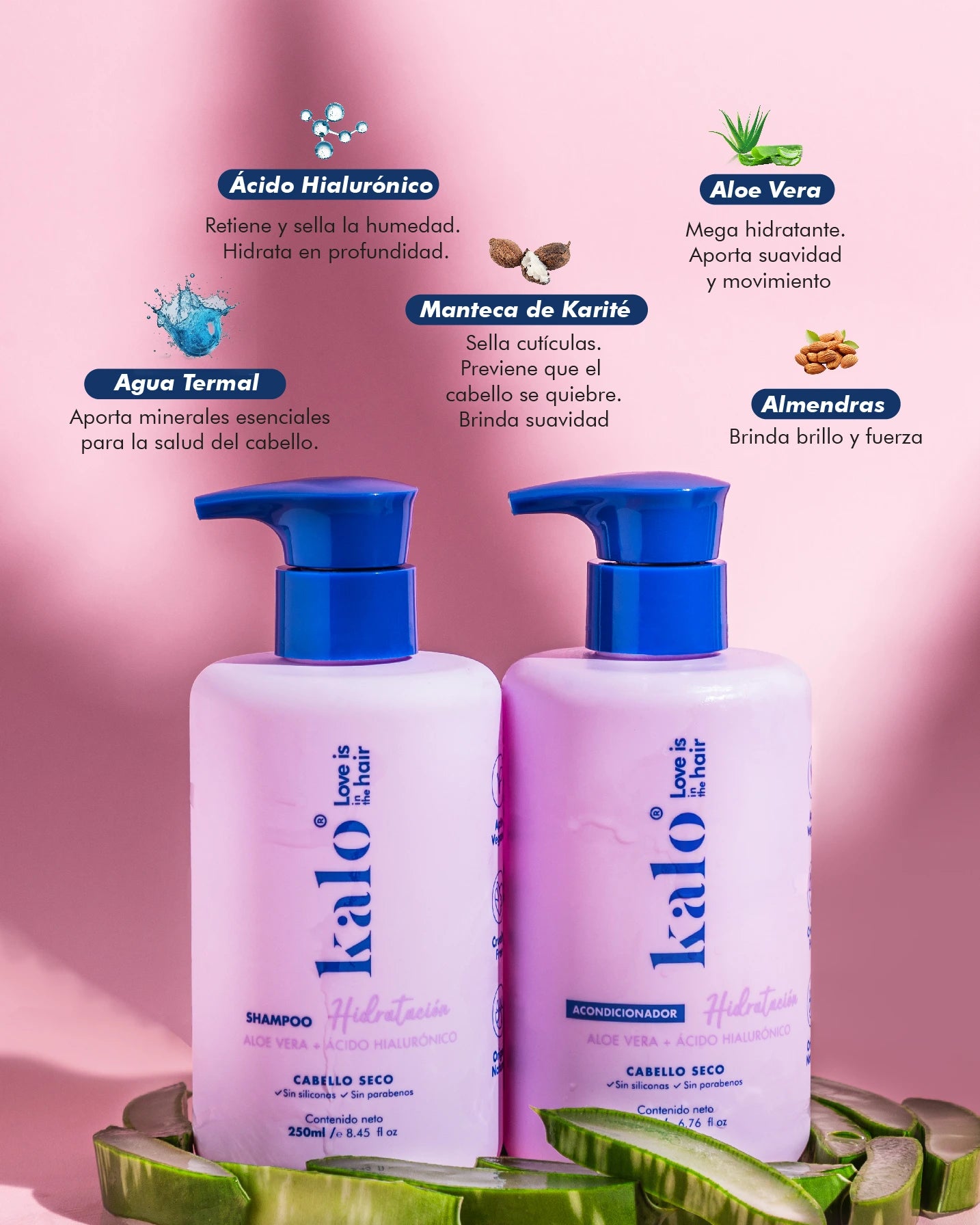 Repair and Restore - Kit de Shampoo y Acondicionador Hidratación