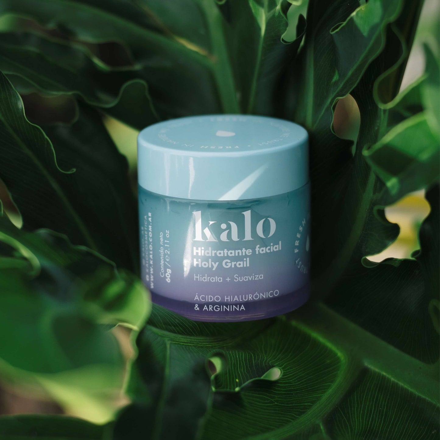 Holy Grail - Crema Facial Hidratante con Ácido Hialurónico